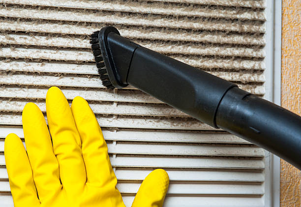 Best Residential Air Duct Cleaning  in Muskegon Heights, MI